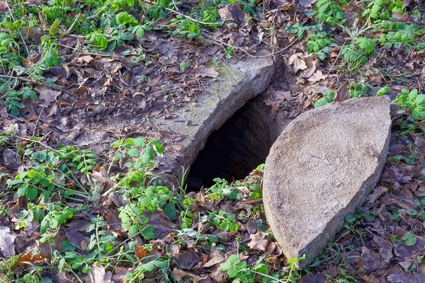 Bir Gri Beton Lağım Çukuru Yerde Sokakta Yeşil Çimenler Var — Stok fotoğraf