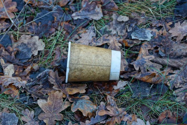 Śmieci Jednego Brązowego Kubka Leży Spadających Liściach Trawie Przyrodzie — Zdjęcie stockowe