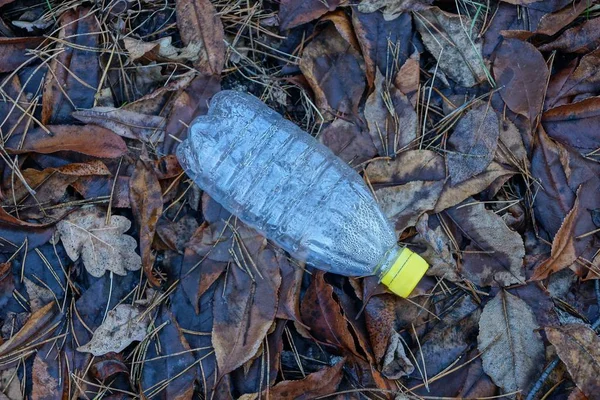 Una Botella Vacía Plástico Blanco Yace Sobre Hojas Grises —  Fotos de Stock