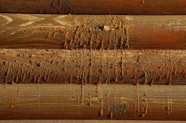 Duvarda reçine damlaları olan kahverengi ahşap ahşap dokular.