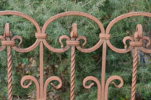 Brauner Dekorativer Zaun Aus Eisenstangen Geschmiedetem Muster Auf Einem Hintergrund — Stockfoto