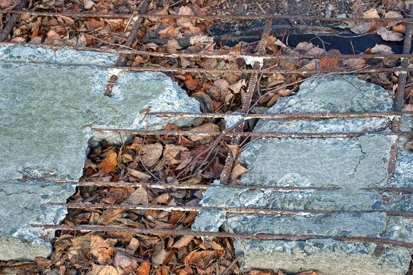 Gray Broken Concrete Slab Rusty Rods Lies Brown Dry Leaves — Stock Photo, Image