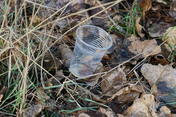 空の白いプラスチックガラスから出るゴミは乾燥した葉や草の中にあり — ストック写真