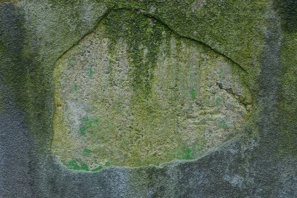 Graugrüne Steinstruktur Aus Alter Schmutziger Betonwand Fundament — Stockfoto