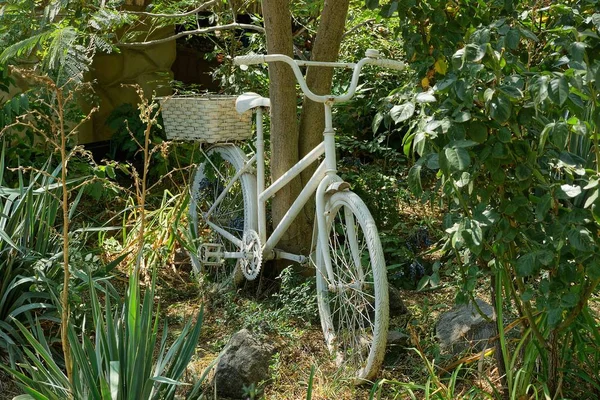 Dekoration Eines Alten Weißen Fahrrads Grüner Vegetation Und Bäumen — Stockfoto