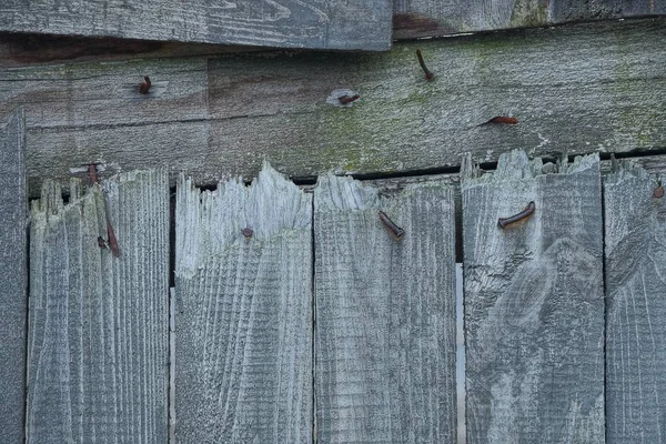 Texture Legno Grigio Vecchie Tavole Rotte Nella Parete Recinzione — Foto Stock