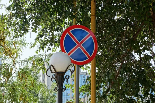 Nessun Segno Parcheggio Lanterna Bianca Una Colonna Contro Ramo Con — Foto Stock