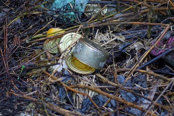 Müll Aus Leeren Mülltonnen Inmitten Brauner Vegetation Der Natur — Stockfoto