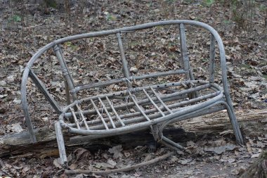 Kırık bir hasır tahta sandalye yerde duruyor ve parkta kuru yapraklar.