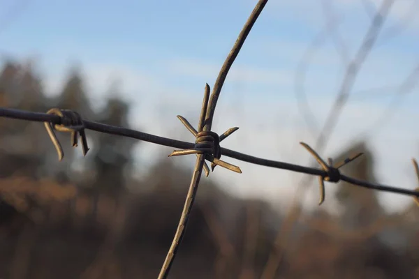 Gray Iron Barbed Wire Fence Street Blue Background — Stock Photo, Image