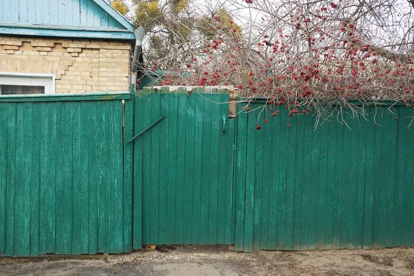 Зеленый Деревенский Забор Закрытая Старая Дверь Улице — стоковое фото