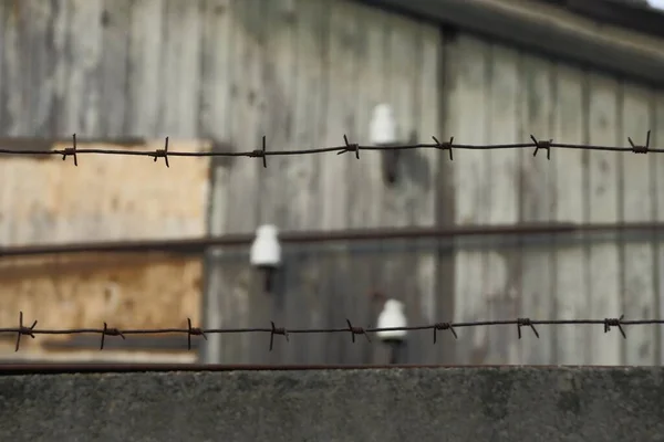 Black Iron Barbed Wire Gray Concrete Fence Background Wall Street — Stock Photo, Image