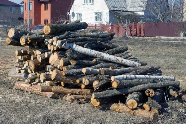 Stapel Droge Houten Stammen Buiten Grijs Gras Een Zonnige Dag — Stockfoto