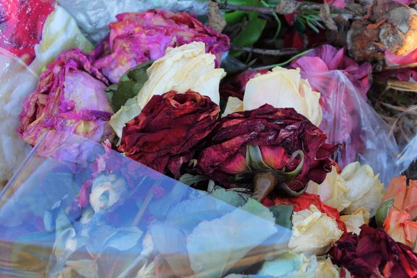 Déchets Roses Séchées Rouges Blanches Dans Bouquet Cellophane Transparent — Photo