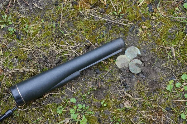 Bir siyah iğne ucu yeşil yosunlardaki eski madeni paralara, toprak ise doğadaki toprağa uzanır.