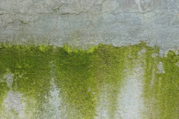Текстура Сірого Зеленого Каменю Старої Бетонної Стіни Брудному Фундаменті Будинку — стокове фото