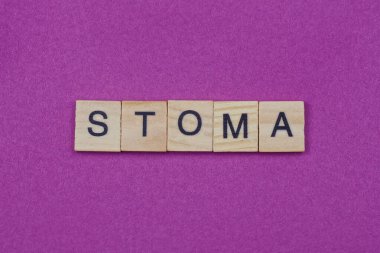 Küçük gri ahşap harflerden gelen stoma kelimesi leylak arka planda yatar.