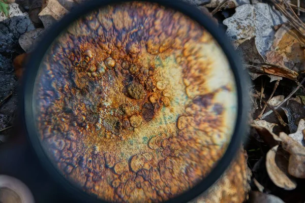 black magnifier increases brown rust on a piece of white iron