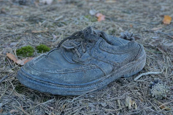 Lixo Uma Bota Couro Velho Preto Agulhas Secas Cinza Natureza — Fotografia de Stock