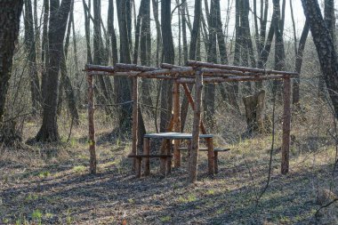 Masası olan eski kahverengi ahşap bir çardak ve ormandaki ağaçların arasındaki çimlerde sıralar.
