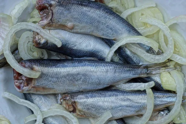 Корм Соленой Мелкой Рыбы Хамса Свежим Нарезанным Луком Белой Тарелке — стоковое фото