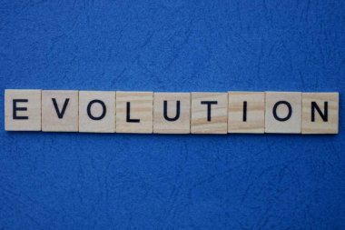 Gri sözcüğün evriminin yazılı olduğu gri küçük ahşap harfler mavi bir masada yatar.