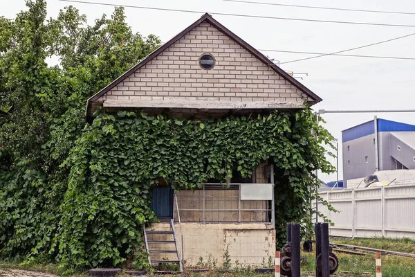 Private Old Gray Brick House Overgrown Green Vegetation Street — Stock Photo, Image