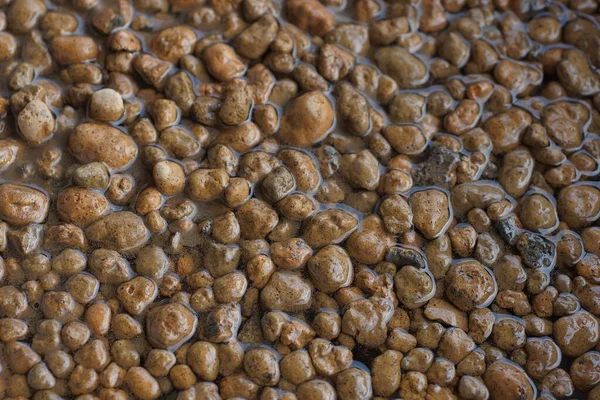 Stone texture of brown fine wet expanded clay in a heap in water — Stock Image Stone Texture Brown Fine Wet Expanded Clay Heap Water Stock Photo