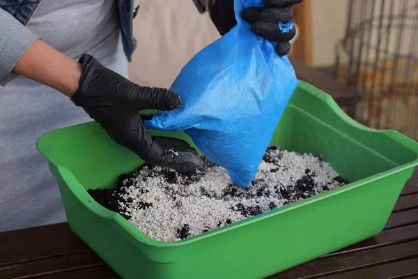 hands of a gardener in black gloves pour white fertilizer from a blue cellophane bag onto black ground in a green plastic box on the table