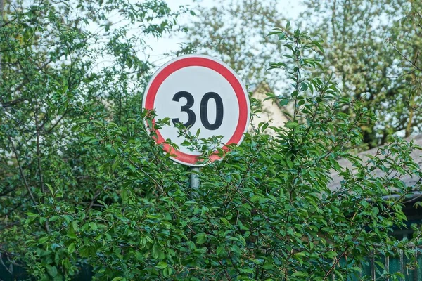 one road sign speed limit overgrown with green branches of plants on the street