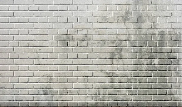 White Wall Beautiful Pattern — Stock Photo, Image