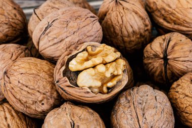 Tam fındık ve arkaplan şablonu