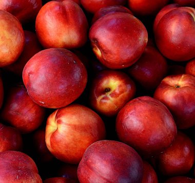 Asfalt gri arka planda iki kiraz