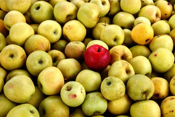 Apple on a background of bright sun rays background