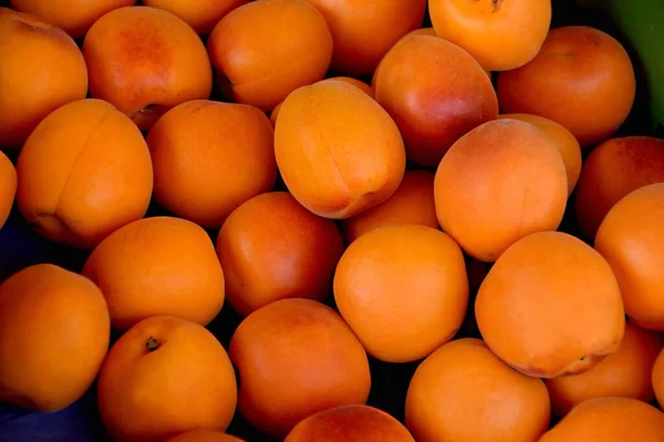 Peaches Photo Beautiful Color Logo Background — Stock Photo, Image