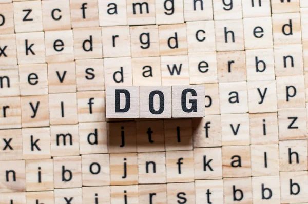 Concetto di parole per cani — Foto Stock