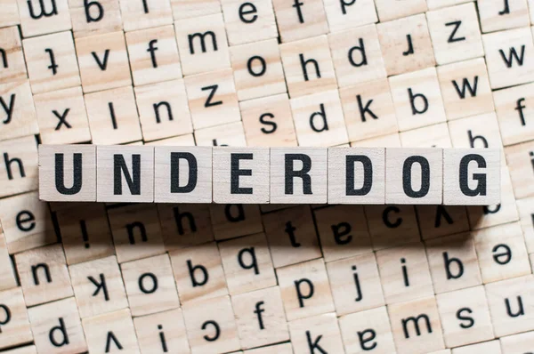 Concetto di parola underdog — Foto Stock