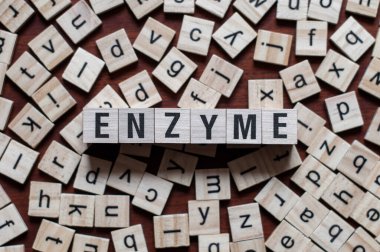 Enzim kelime kavramı