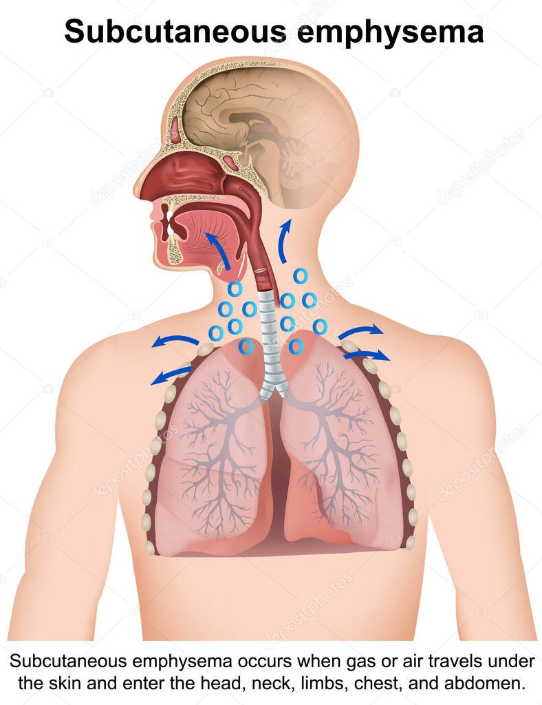 medicalstocks