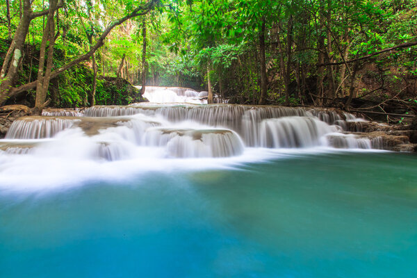 Waterfall in Deep Forest