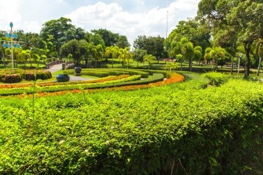 Renkli çiçek ve sarma çim yolu