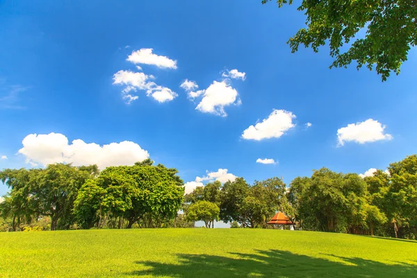 Hermoso parque sobre el cielo azul —  Fotos de Stock