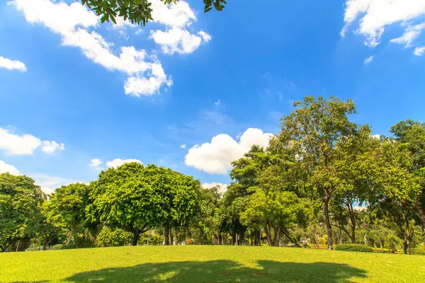 Prachtig park over blauwe hemel — Stockfoto