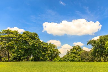 Mavi gökyüzü üzerinde güzel park