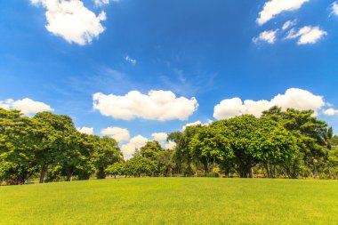 Mavi gökyüzü üzerinde güzel park
