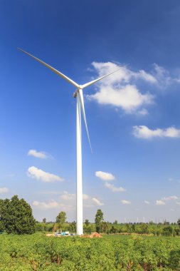 Rüzgar türbini yenilenebilir enerji kaynağı yaz manzarası