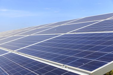 Güneş panelleri üzerinde yeşil alan, Solar power station