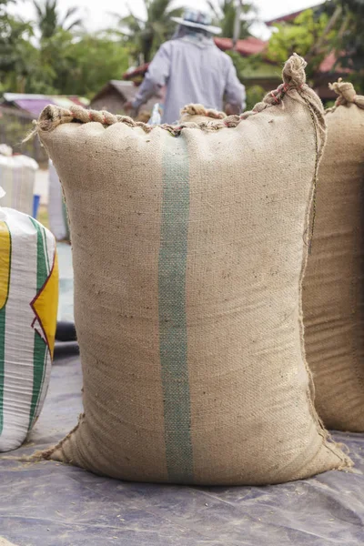 Agricultor e arroz paddy semente em um saco de serapilheira — Fotografia de Stock