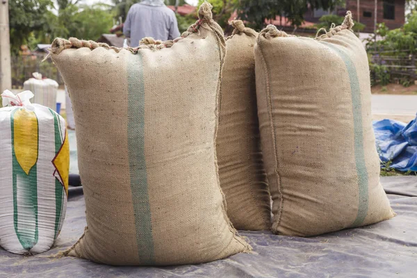 Agricultor e arroz paddy semente em um saco de serapilheira — Fotografia de Stock