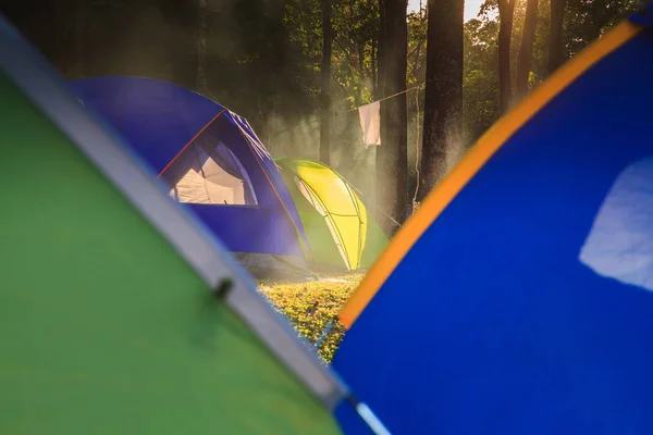 Camping de vacaciones con fondo crepuscular en amanecer de la mañana —  Fotos de Stock